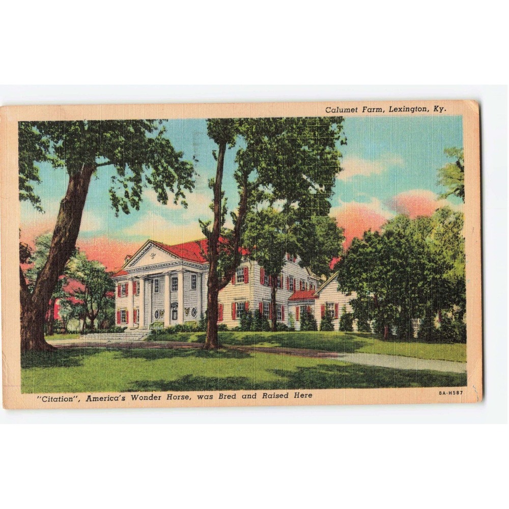 Vintage Calumet Farm Lexington KY Postcard Citation Horse Home 1959 Linen